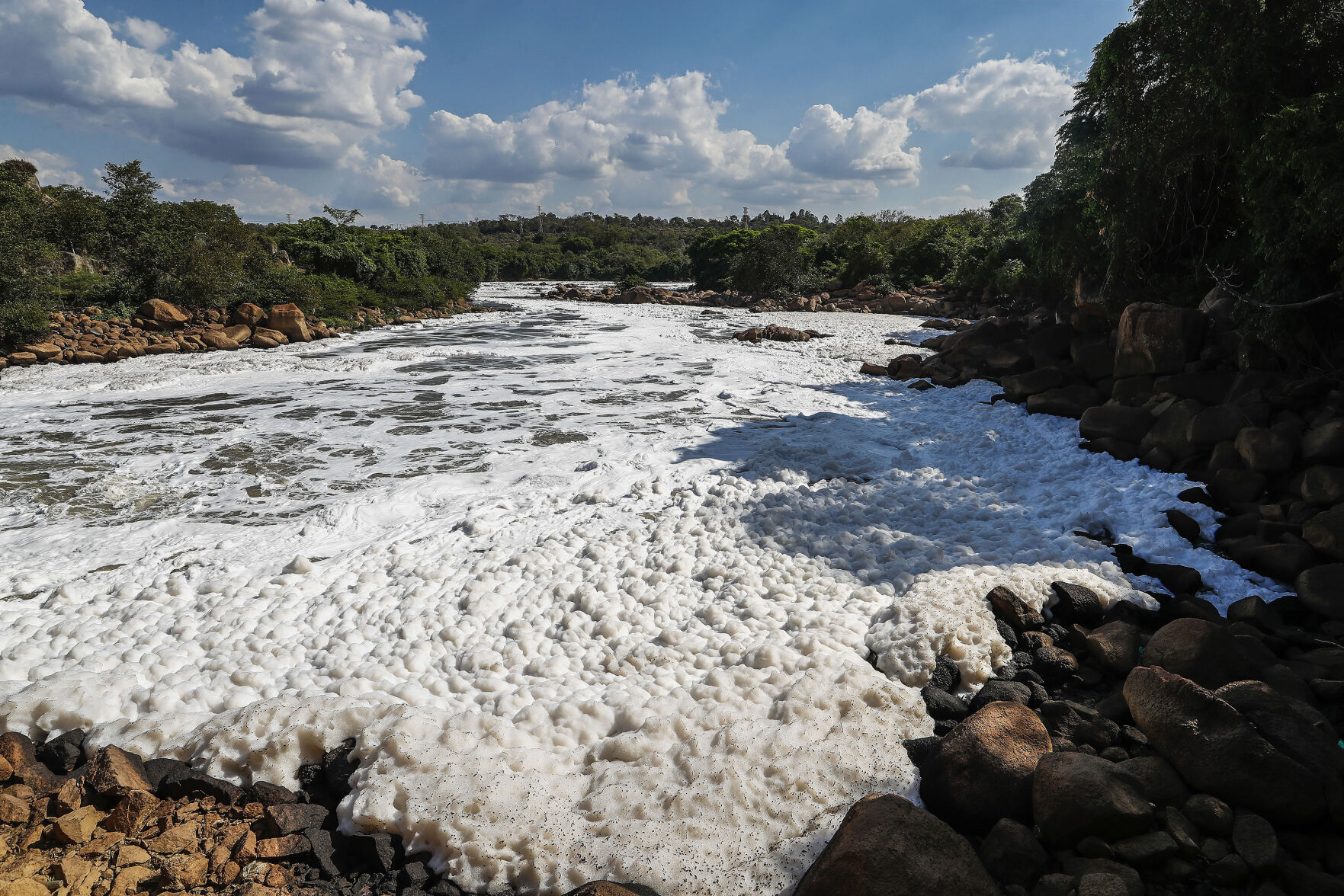 APTOPIX Brazil Environment